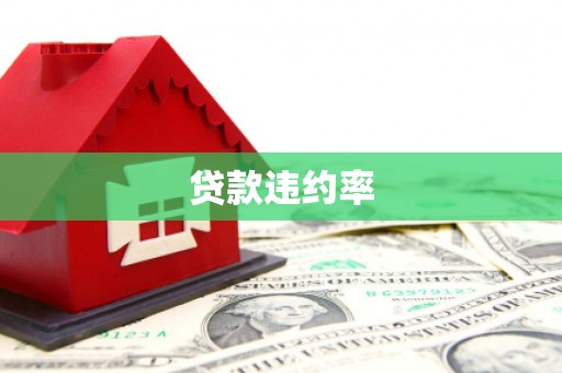 卫东贷款违约率
