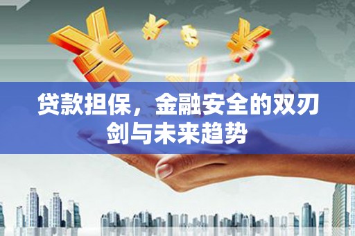 卫东贷款担保，金融安全的双刃剑与未来趋势