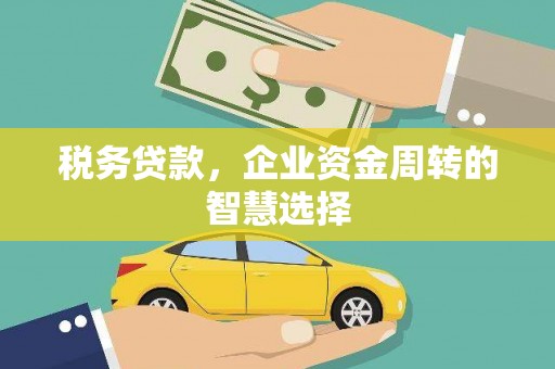 卫东税务贷款，企业资金周转的智慧选择