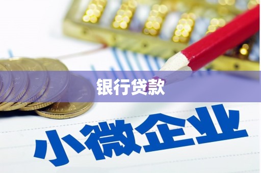 卫东银行贷款