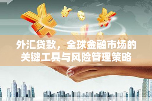 卫东外汇贷款，全球金融市场的关键工具与风险管理策略