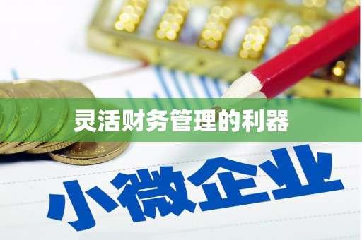 卫东灵活财务管理的利器