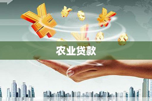 卫东农业贷款