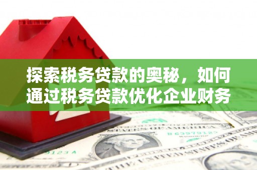 卫东探索税务贷款的奥秘，如何通过税务贷款优化企业财务