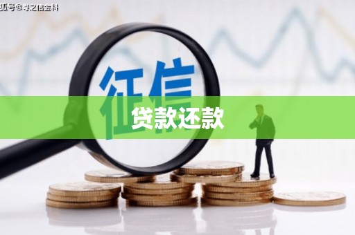 卫东贷款还款