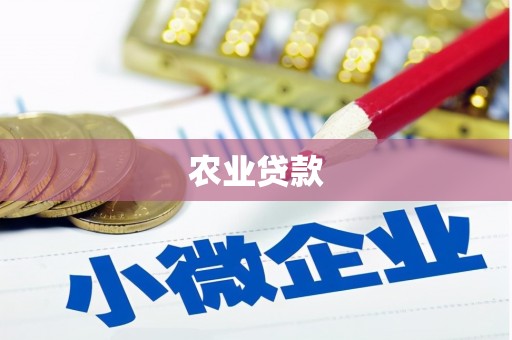 卫东农业贷款