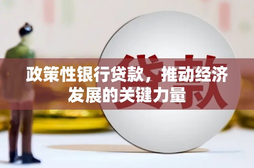 卫东政策性银行贷款，推动经济发展的关键力量