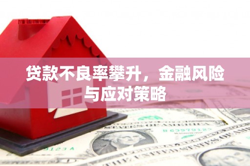 卫东贷款不良率攀升，金融风险与应对策略