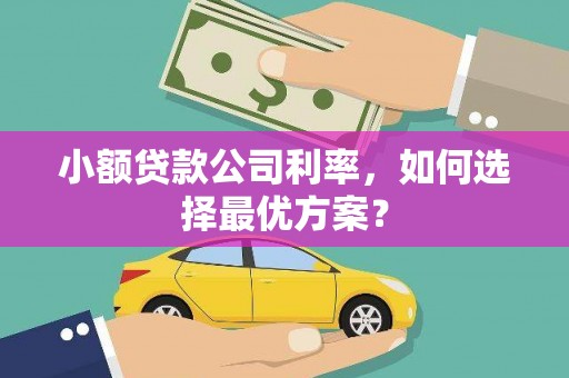卫东小额贷款公司利率，如何选择最优方案？