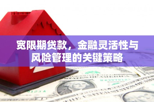 卫东宽限期贷款，金融灵活性与风险管理的关键策略