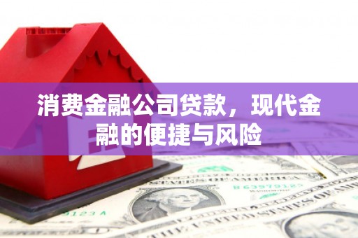 卫东消费金融公司贷款，现代金融的便捷与风险