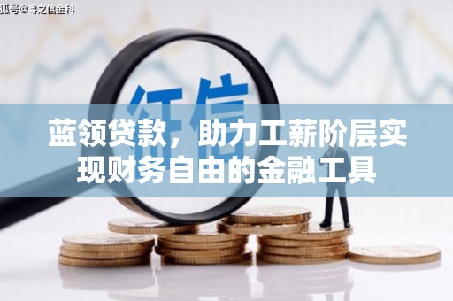 卫东蓝领贷款，助力工薪阶层实现财务自由的金融工具