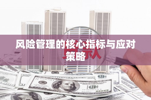 卫东风险管理的核心指标与应对策略