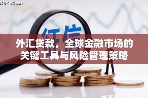 卫东外汇贷款，全球金融市场的关键工具与风险管理策略