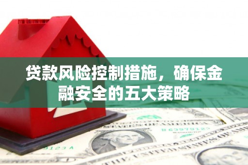 卫东贷款风险控制措施，确保金融安全的五大策略