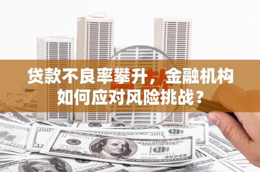 卫东贷款不良率攀升，金融机构如何应对风险挑战？