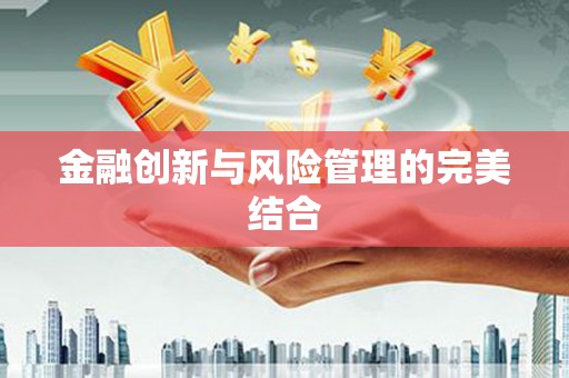 卫东金融创新与风险管理的完美结合
