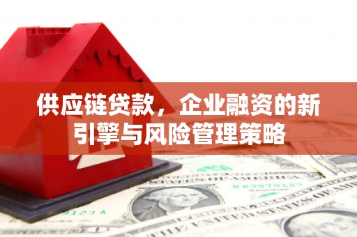 卫东供应链贷款，企业融资的新引擎与风险管理策略