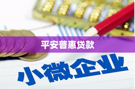 卫东平安普惠贷款
