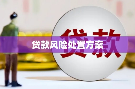 卫东贷款风险处置方案
