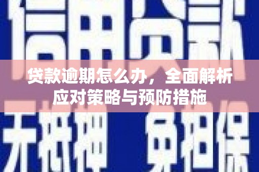 卫东贷款逾期怎么办，全面解析应对策略与预防措施
