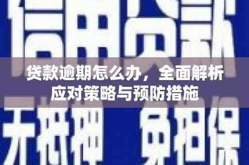 卫东贷款逾期怎么办，全面解析应对策略与预防措施