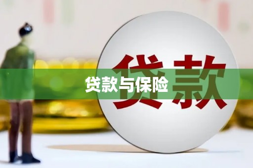 卫东贷款与保险