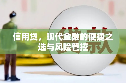 卫东信用贷，现代金融的便捷之选与风险管控