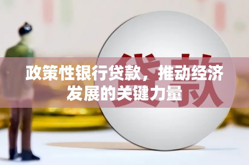 卫东政策性银行贷款，推动经济发展的关键力量
