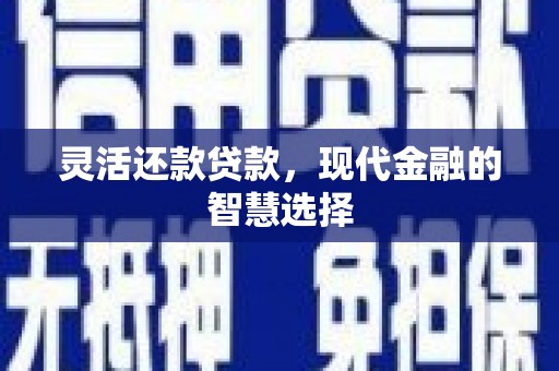 卫东灵活还款贷款，现代金融的智慧选择