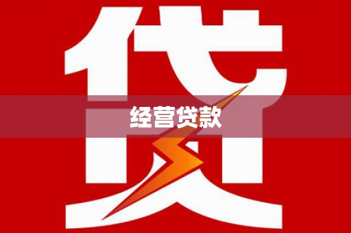 卫东经营贷款