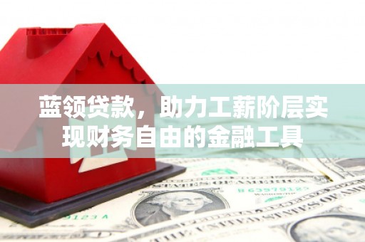 卫东蓝领贷款，助力工薪阶层实现财务自由的金融工具