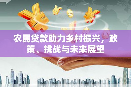 卫东农民贷款助力乡村振兴，政策、挑战与未来展望