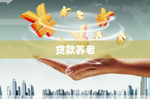 卫东贷款养老