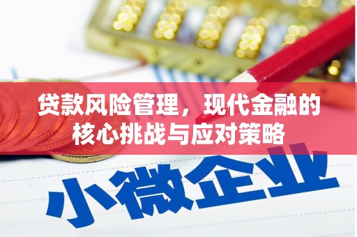 卫东贷款风险管理，现代金融的核心挑战与应对策略