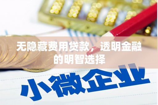 卫东无隐藏费用贷款，透明金融的明智选择