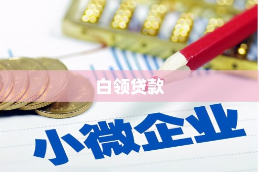 卫东白领贷款