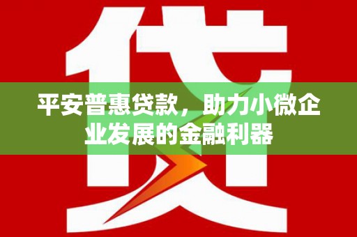 卫东平安普惠贷款，助力小微企业发展的金融利器