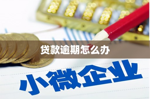 卫东贷款逾期怎么办