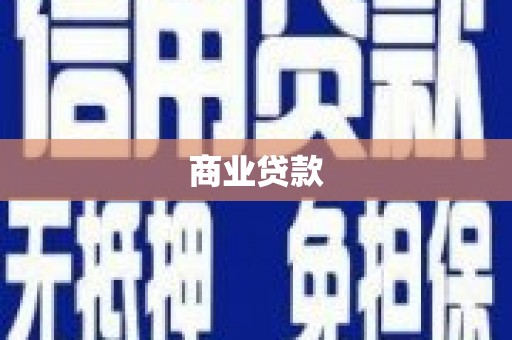 卫东商业贷款