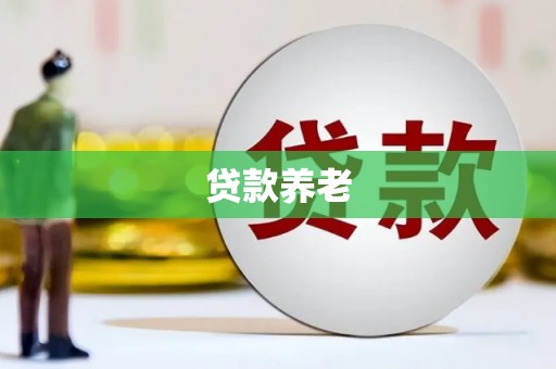 卫东贷款养老