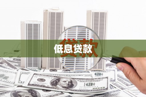 卫东低息贷款