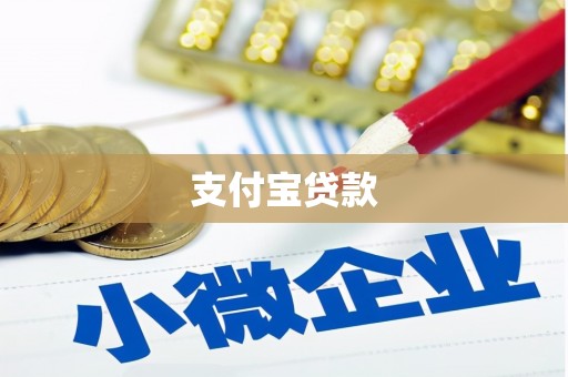 卫东支付宝贷款