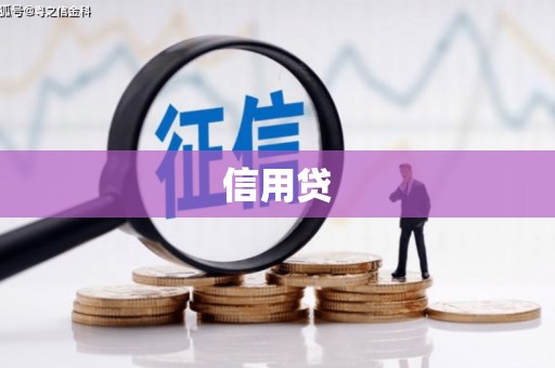 卫东信用贷