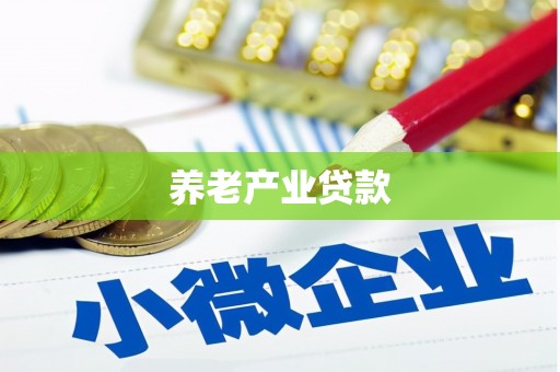 卫东养老产业贷款