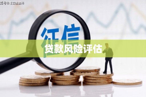 卫东贷款风险评估