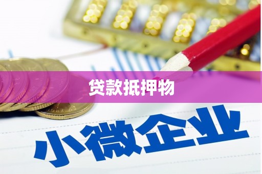 卫东贷款抵押物
