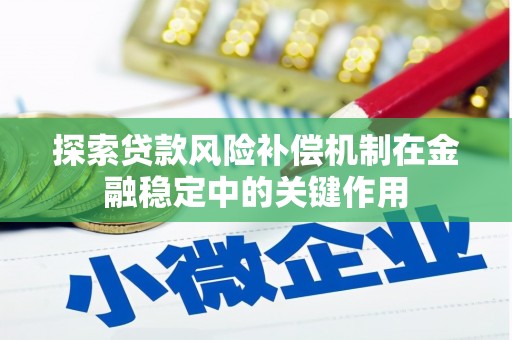 卫东探索贷款风险补偿机制在金融稳定中的关键作用