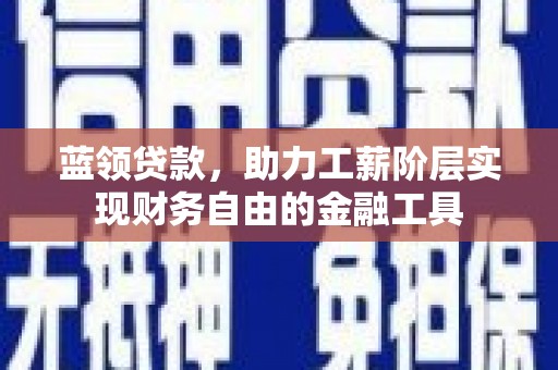 卫东蓝领贷款，助力工薪阶层实现财务自由的金融工具