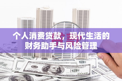 卫东个人消费贷款，现代生活的财务助手与风险管理